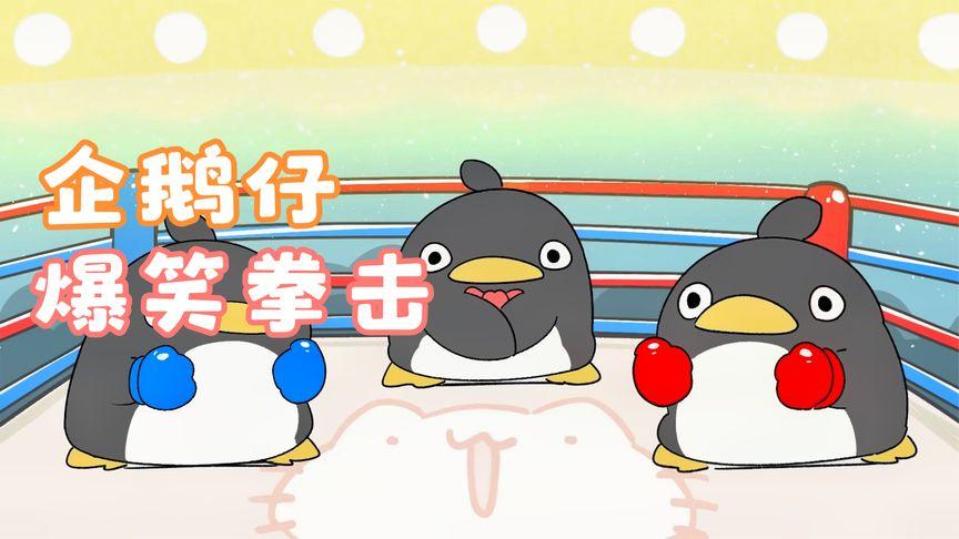 企鹅体育免费直播拳击吗的相关图片